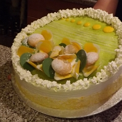 DSCF0229
